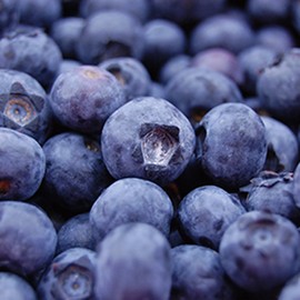 APIX Aroma Solution for Air Washers (ACL-200/ACL-300 Compatible) [BLUE BERRY Blueberry] AAS-007