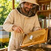 Honeycomb Uncapping Roller for Honey Extraction – Lightweight Beekeeping Tool