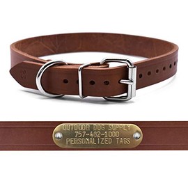 Leather Dog Collar Strap with Custom Brass Name Plate (D Ring, 1" W 19" L)