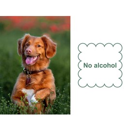 Mr. Peanut's Naturals Plant Based, Flushable, Compostable, Unscented Pet Wipes, 160 Count, Larger 8"x6" Size