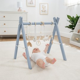 Comfy Cubs Baby Play Gym Set, Wooden Baby Playgym, Interactive Activity Center Hanging Bar with Gym Toys, Foldable for Infants, Newborn Gift for Baby Girl and Boy, Pacific Blue