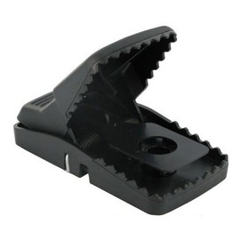 Trapper T-Rex Rat Snap Trap-12 traps BELL-1043cs