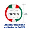 EWIEIAA balón de Voleibol， Pelota Voleibol Suave Interior y Exterior，Material