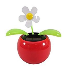 Navillus Solar Powered Dancing Flower, Lily, Rose, Sunflower, Petunia Office Desk & Car Decor (White Daisy Red Pot)