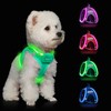 Light Up Dog Harness,Rechargeable LED Dog Harness for Small Medium
