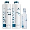 Plexforte Lendan Kit Reparacin Paso O2, O4 Y O5 Regalo