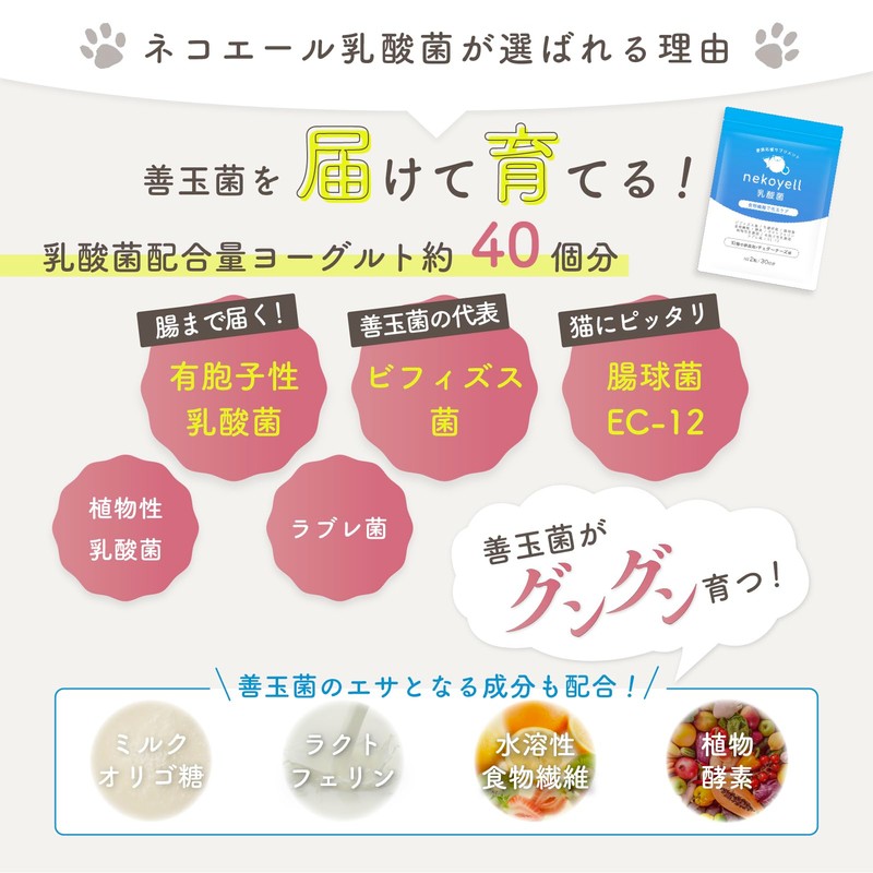 Cat Lactic Acid Bacteria Supplement, Intestinal Environment, Immune, Oral, Brushy,