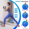 Peacafulife 200 Lbs Resistance Bands Set, Exercise Bands with Door