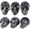 Rockcloud Healing Crystal Stone Human Reiki Skull Figurine Statue Sculptures