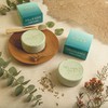 Organic Exfoliating Bars of Soap, Natural Ingredients, Assorted Scents, Icelandic