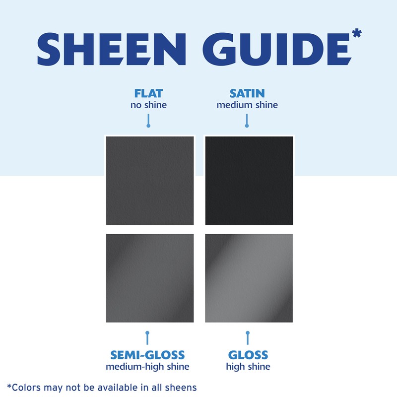 Rust-Oleum 249863 Painter's Touch 2X Ultra Cover Spray Paint, 12