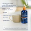 Trace Minerals Research - Concentrace Trace Mineral Drops - 8oz