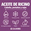 Aceite De Ricino 100 Puro Prensado En Frío - 59