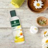 Herb Atint Shampoo Chamomile 260 ml
