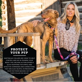 Wolfgang Premium Martingale Dog Collar for Small Medium Large Dogs, Made in USA, Daydream Print, Medium (1 Inch x 14-18 Inch)