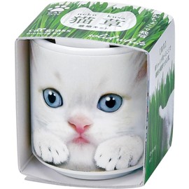 Seishin Pottery GD-102901 All-Year Round Home Garden Cultivation Kit, Mini, Easy, Loose Growing, Herbs, Herbs, Cultivation Set, White, Mother's Day, Birthday, Gift, Pot Diameter Approx. 1.6 inches (4