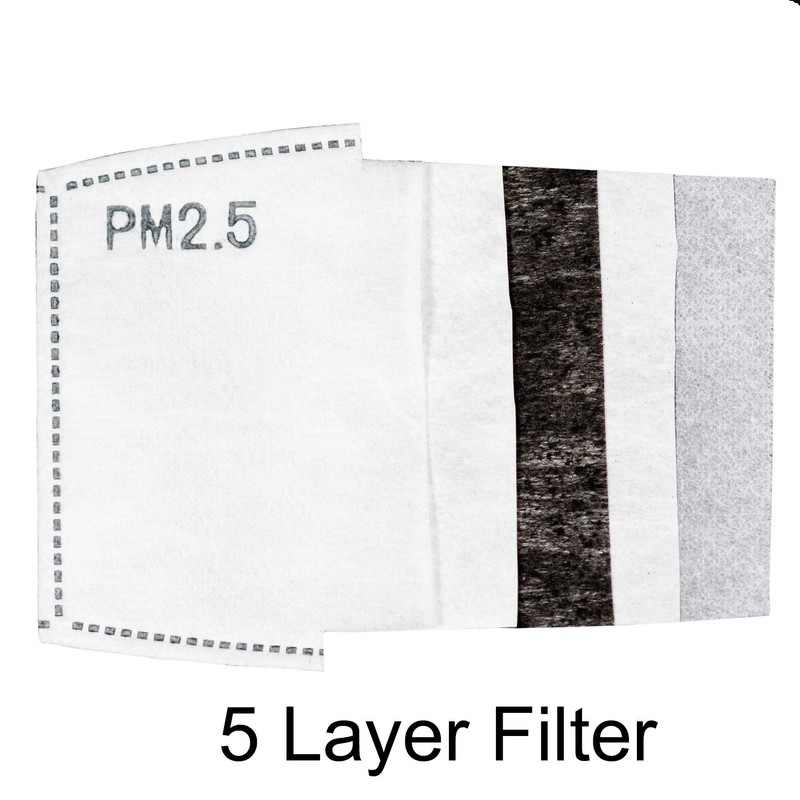 PM 2.5 Activated Carbon Filter Replaceable Insert (50 Pack)
