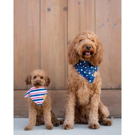 Remy+Roo Dog Bandanas - 2 Pack | Stars+Stripes Set | Premium Durable Fabric | Unique Shape | Adjustable Fit | Multiple Sizes Offered (XL)