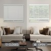CHICOLOGY Blinds for Windows , Mini Blinds , Window Blinds
