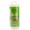 Cypress Water, 16.9 fl oz (500 ml), Green Notebook, Natural,