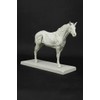 3dtotal Anatomy: Equine figure
