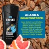 Axe 3-in-1 Duschgel & Shampoo Alaska f√ºr langanhaltende Frische und