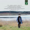 Scandinavian Wood: Northern Soundscapes For Clarinet Ao