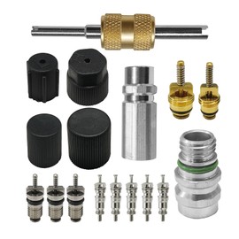 HQRNYP Air Conditioning Valve Core Kit, Automotive Replacement Air Conditioning Valves, R12 R134A Teflon Seal Cap Valve Kit with Removal Tool, Car & HVAC AC Refrigerant Tool Accessories for Vehicle