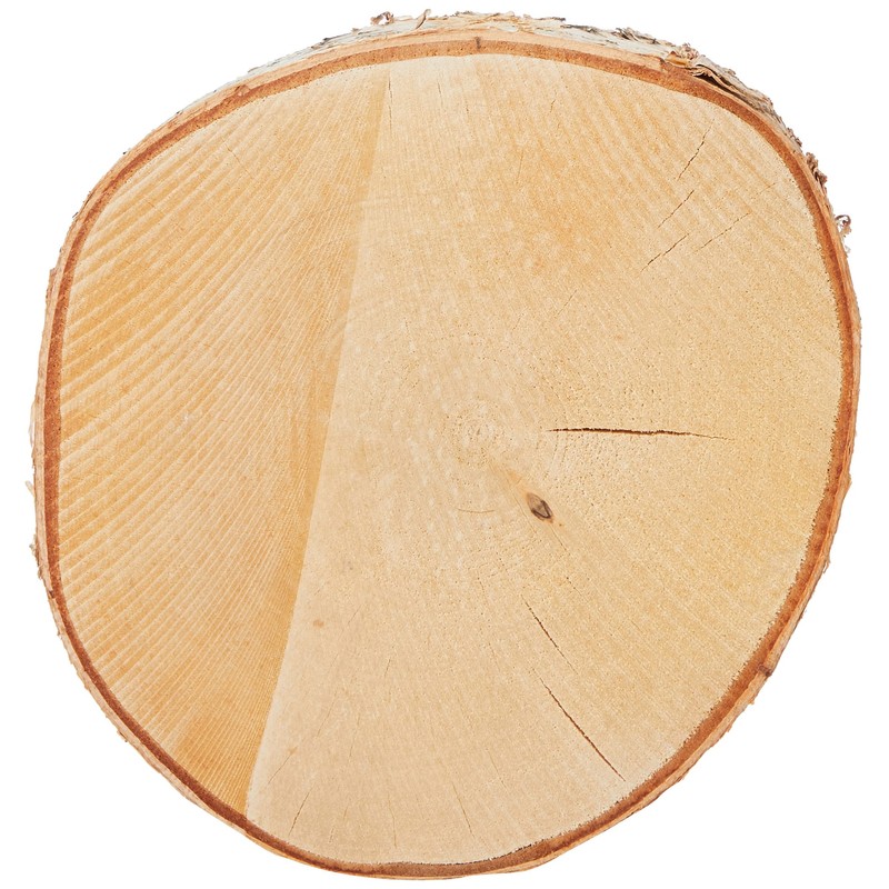 Rayher Hobby Birch Disc, Wood, Brown, 25 - 28 cm