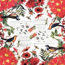 Colored Paper Cocktail Napkins, 20 Count Shabby Chic Napkins for Wedding, Dinner Tea Party Shower, Dragonfly and Birds