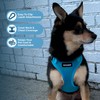 Voyager Step-in Lock Pet Harness - All Weather Mesh, Adjustable