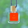 CANVAS Beauty Car Diffuser (Pick Your Scent):_Drunken Peach