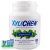 Xylichew Gum Peppermint - 60 Pieces