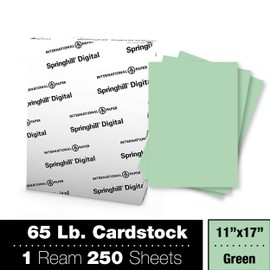 Springhill 11” x 17” Green Colored Cardstock Paper, 67lb Vellum Bristol, 147gsm, 250 Sheets (1 Ream) – Premium Lightweight Cardstock, Vellum Printer Paper with Textured Finish – 046004R