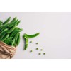 Sugar Daddy Snap Pea Seeds for Planting, 50+ Heirloom Seeds
