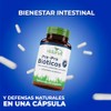Vidanat Pre - Probióticos 30 Cápsulas 5 Billones de UFC