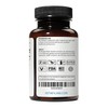 Weyland Brain Nutrition EGCG | Green Tea Extract | 400