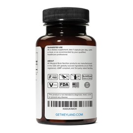 Weyland Brain Nutrition EGCG | Green Tea Extract | 400 mg - Antioxidant Supplement | Vegan, Gluten Free | 100 Vegetarian Capsules (Pack of 3)
