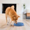 Outward Hound Fun Feeder Slo Bowl, Slow Feeder Dog Bowl,