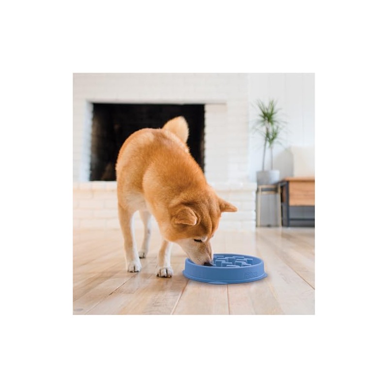 Outward Hound Fun Feeder Slo Bowl, Slow Feeder Dog Bowl,