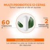 Probioticos 60 Billones de 12 Cepas + Prebioticos con Inulina