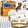 2 Pack Flea Traps for Inside Your Home, Indoor Flea