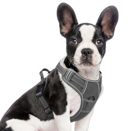 Joytale Step-in No Pull Dog Harness for Small Dogs with 2 Leash Clips, Reflective Pet Vest with Easy Control Handle, Adjustable Soft Padded Harness for Walking and Training, Grey,S