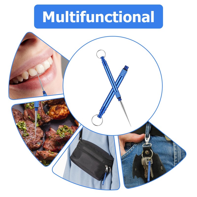 Metal Toothpicks, Pack of 5 Titanium Toothpicks, Reusable, Portable Toothpicks