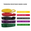 TRENDORA Premium Resistance Bands Set of 5, Exercise Bands, Workout