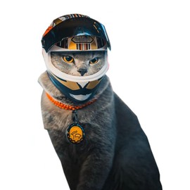 Pet Motorcycle Helmet for Cat Dog - Full Face Outdoor Bike Riding Helmet Hat (Multicolor)