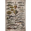 Fishing 2026 Planner Weekly and Monthly: Minimalist Calendar Organizers, goal,