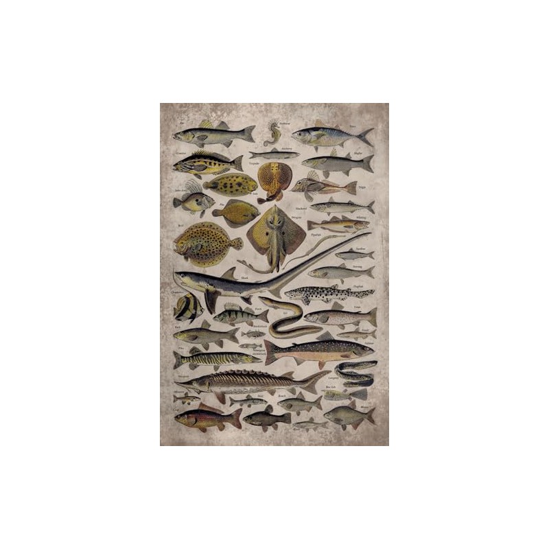 Fishing 2026 Planner Weekly and Monthly: Minimalist Calendar Organizers, goal,