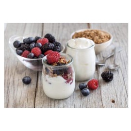 Långfil Heirloom Mesophilic Yogurt Starter Culture Dehydrated