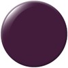 duri Nail Polish, 764 Sorry Not Sorry, Deep Purple Lacquer,